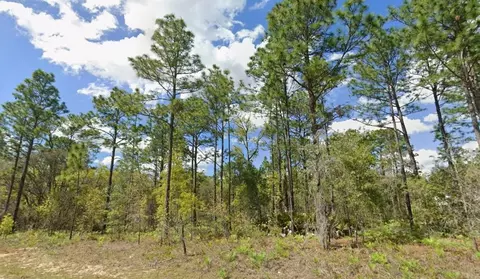2193 W Galaxy Ln, Citrus Springs, FL 34434