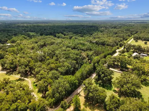View/Area - 5581 NE 157th Ter, Williston, FL 32696 photo 5 of 9