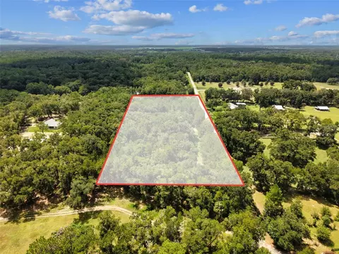 View/Area - 5581 NE 157th Ter, Williston, FL 32696 photo 7 of 9