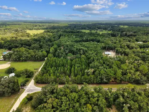 View/Area - 5581 NE 157th Ter, Williston, FL 32696 photo 1 of 9