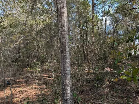 SW 30th Place, Ocala, FL 34481 photo 3