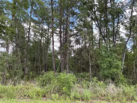 lot1 Bay Court Pass, Ocklawaha, FL 32179