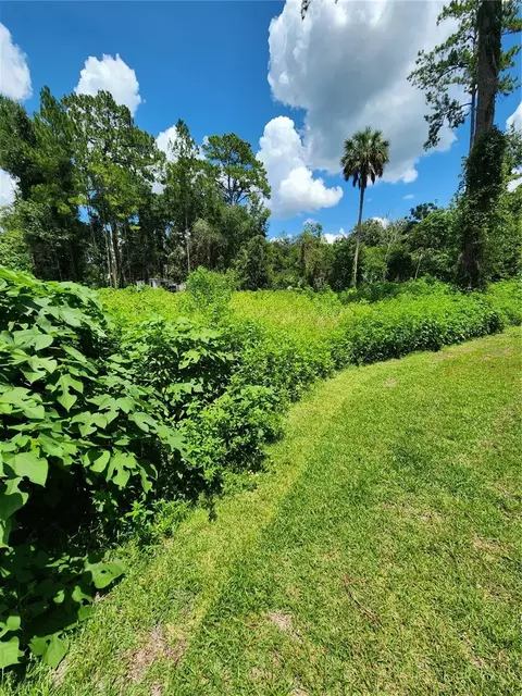 5231 SE 25th Ave, Ocala, FL 34480 photo 4