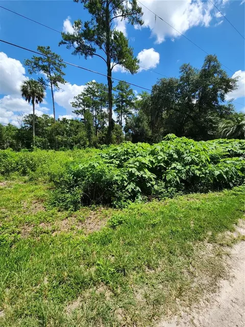 5231 SE 25th Ave, Ocala, FL 34480 photo 3