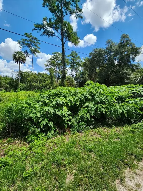 5231 SE 25th Ave, Ocala, FL 34480 photo 5