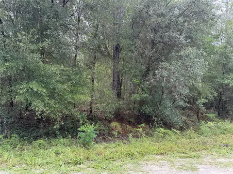 tbd SW 125th Ter, Dunnellon, FL 34432