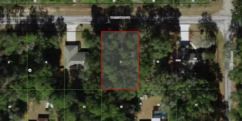 1588 W Alexander Dr, Citrus Springs, FL 34434