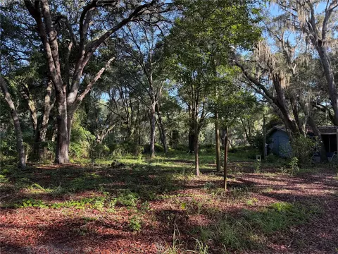 13799 NE 47th Ave, Anthony, FL 32617 photo 5