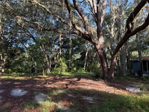 13799 NE 47th Ave, Anthony, FL 32617 photo 8