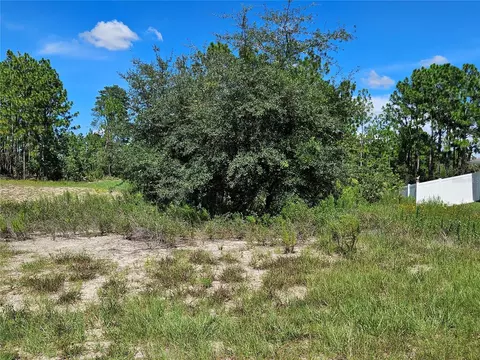 tbd SW 85th Ter, Ocala, FL 34473 photo 2