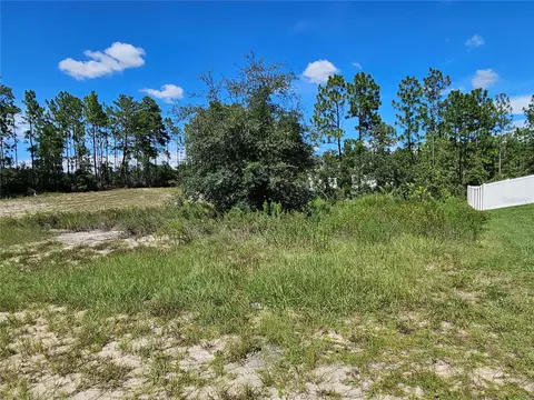 tbd SW 85th Ter, Ocala, FL 34473 photo 3