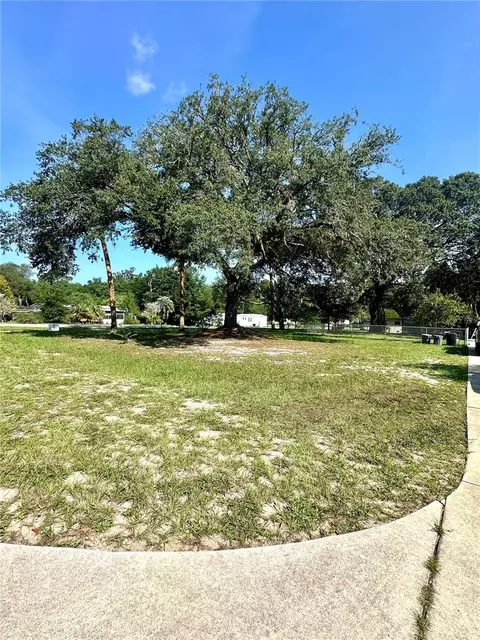 202 Ash St, Interlachen, FL 32148 photo 3