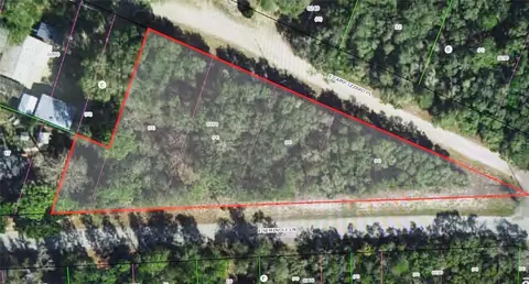 4114 E Camp Izzard Pl, Dunnellon, FL 34434