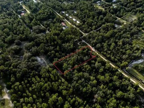 tbd NE 50th Ln, Williston, FL 32696 photo 12