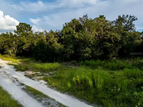 tbd NE 50th Ln, Williston, FL 32696 photo 3