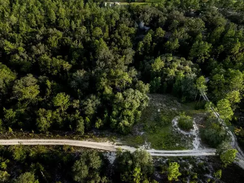tbd NE 50th Ln, Williston, FL 32696 photo 15