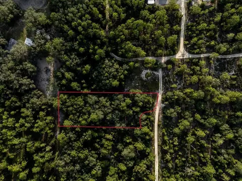 tbd NE 50th Ln, Williston, FL 32696 photo 7