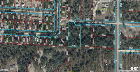 tbd NE 50th Ln, Williston, FL 32696 photo 5