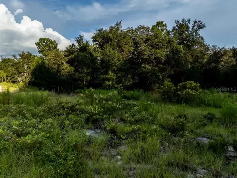tbd NE 50th Ln, Williston, FL 32696 photo 4
