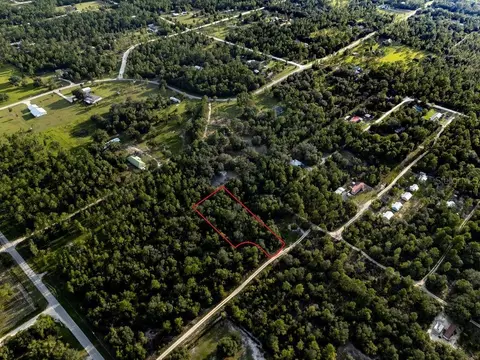 tbd NE 50th Ln, Williston, FL 32696 photo 9