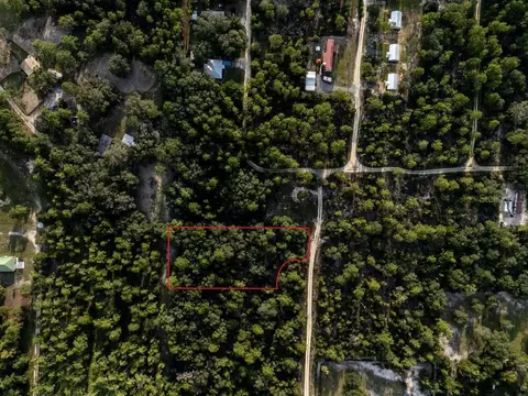 tbd NE 50th Ln, Williston, FL 32696 photo 8