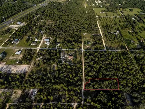 tbd NE 50th Ln, Williston, FL 32696 photo 6