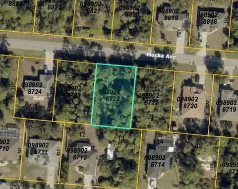 Mocha Avenue, North Port, FL 34287