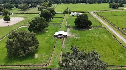 View/Area - 13489 NW Gainesville Rd, Reddick, FL 32686 photo 11 of 14