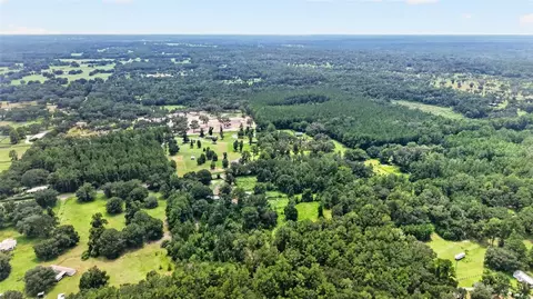View/Area - 10195 NW 160th St, Reddick, FL 32686 photo 9 of 9