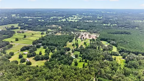 View/Area - 10195 NW 160th St, Reddick, FL 32686 photo 7 of 9