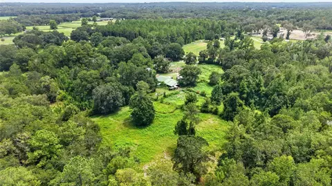 View/Area - 10195 NW 160th St, Reddick, FL 32686 photo 2 of 9