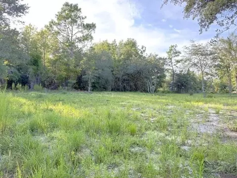 00 NE 50th Pl, Williston, FL 32696 photo 4