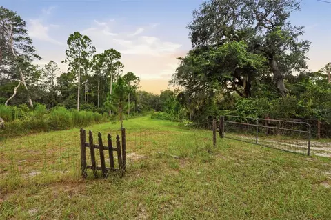 Exterior - 39913 Swift Rd, Eustis, FL 32736 photo 1 of 11
