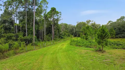 Other - 39913 Swift Rd, Eustis, FL 32736 photo 4 of 11