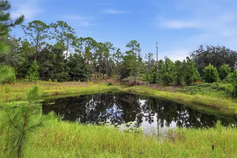 View/Area - 39913 Swift Rd, Eustis, FL 32736 photo 2 of 5
