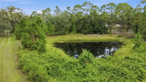 View/Area - 39913 Swift Rd, Eustis, FL 32736 photo 3 of 5