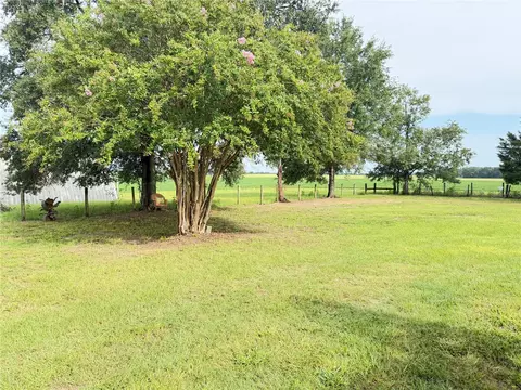 Exterior - 13991 NE 10th St, Williston, FL 32696 photo 10 of 11