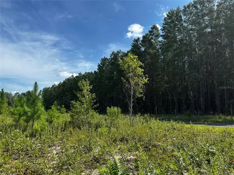 7351 NE 106th Ter, Bronson, FL 32621 photo 36