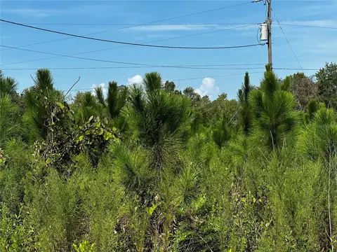 7351 NE 106th Ter, Bronson, FL 32621 photo 40