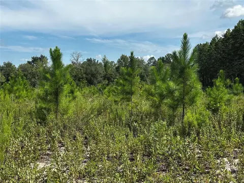 7351 NE 106th Ter, Bronson, FL 32621 photo 39