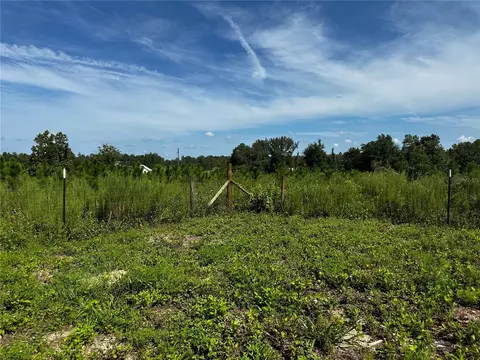 7351 NE 106th Ter, Bronson, FL 32621 photo 42