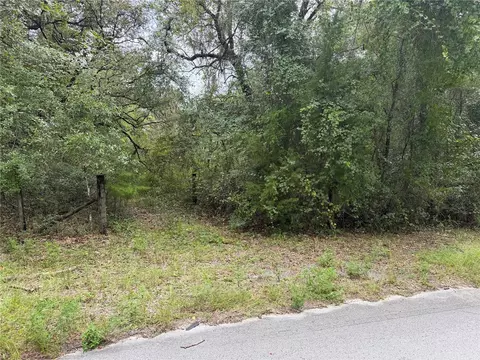 11590 NE 88th Ln, Bronson, FL 32621 photo 8