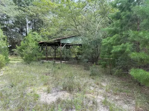 11590 NE 88th Ln, Bronson, FL 32621 photo 6