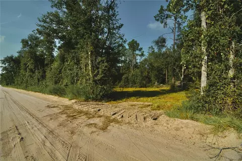00 SW 39th Ave, Jasper, FL 32052 photo 4