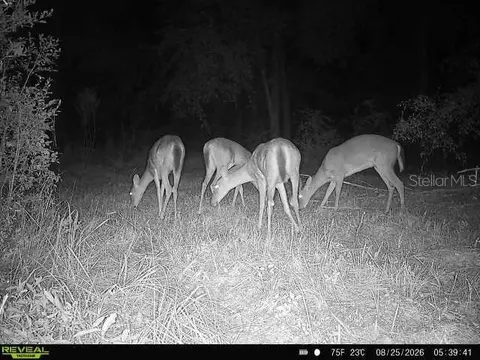 00 SW 39th Ave, Jasper, FL 32052 photo 38