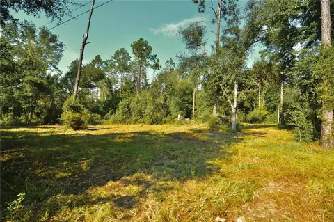 00 SW 39th Ave, Jasper, FL 32052 photo 11