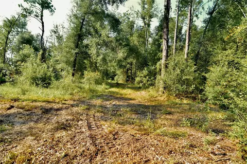 00 SW 39th Ave, Jasper, FL 32052 photo 27