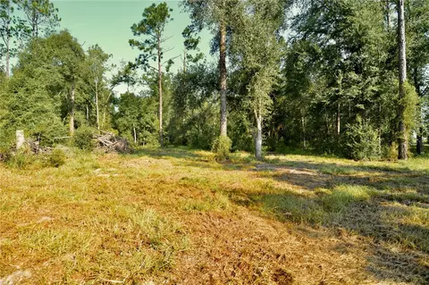00 SW 39th Ave, Jasper, FL 32052 photo 8
