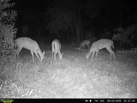00 SW 39th Ave, Jasper, FL 32052 photo 36