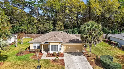 View/Area - 8907 SE 141st Loop, Summerfield, FL 34491 photo 2 of 3